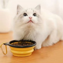 ظرف سیلیکونی تاشو آب و غذای مسافرتی حیوانات 350 میلی لیتری